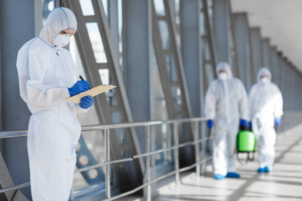 Best Environmental Consulting for Mold Prevention  in Eatons Neck, NY