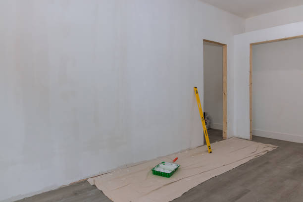 Best Basement Mold Removal  in Eatons Neck, NY
