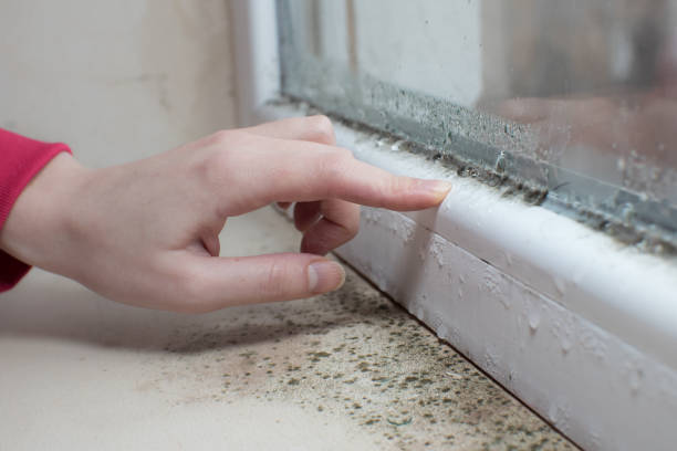 Best Air Quality Testing for Mold Spores  in Eatons Neck, NY